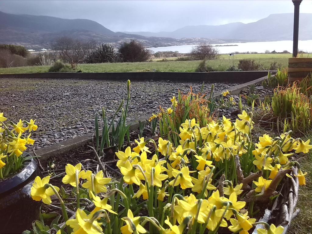 Currane Lodge Waterville Esterno foto